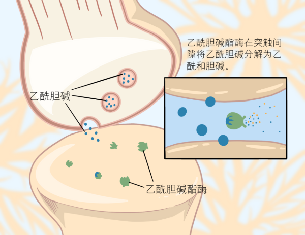 bevictorΰ�¹��� - Τ�¹ٷ���վ