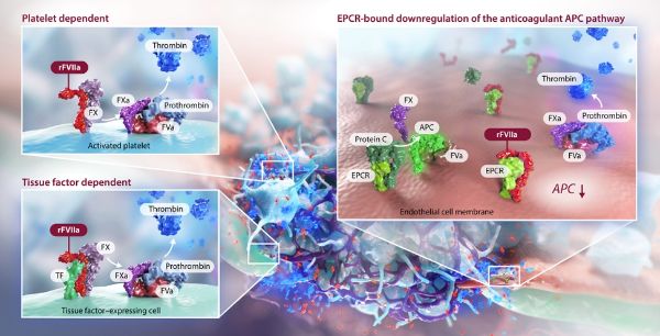 bevictorΰ�¹��� - Τ�¹ٷ���վ